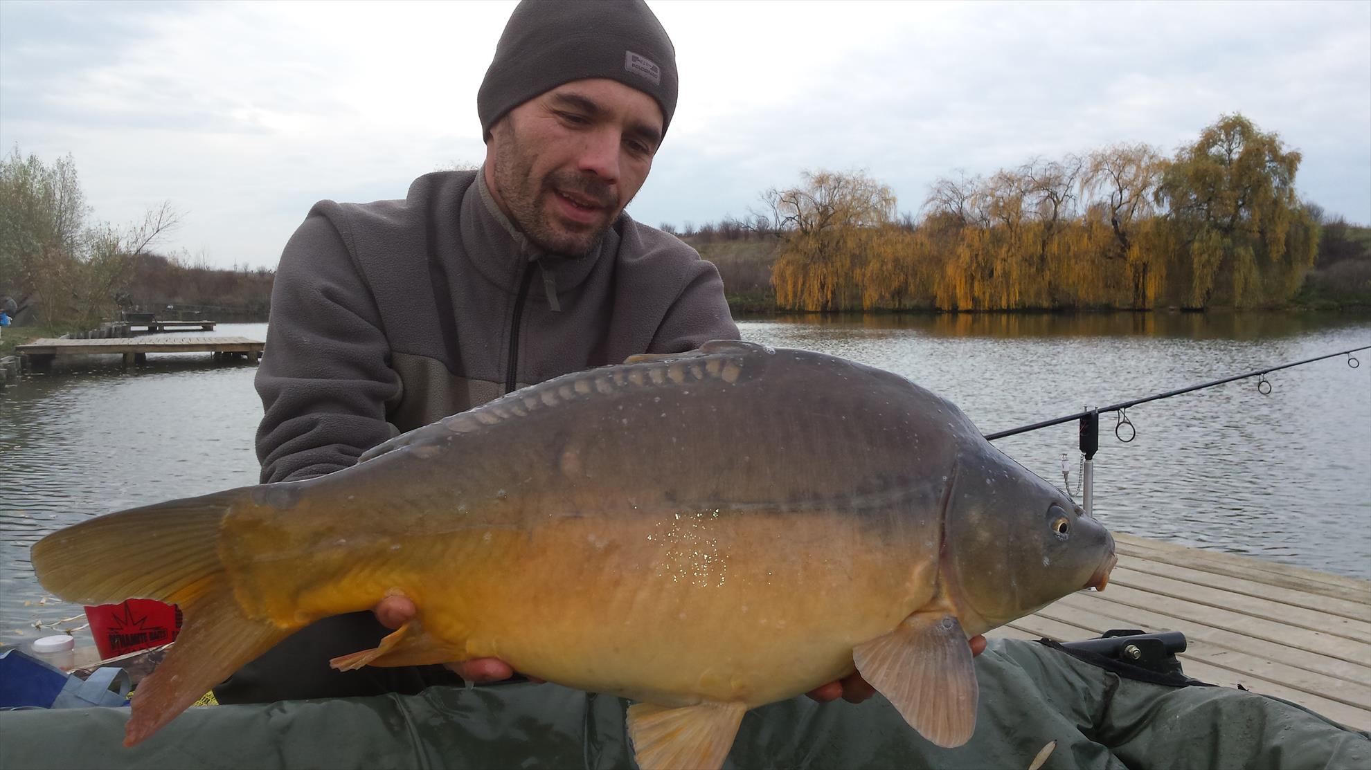 Hermes Peris 22 noiembrie 2015 - 20151122103832.jpg